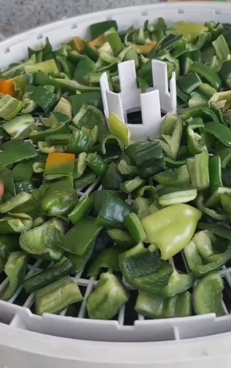 Невызревшие перцы сушатся