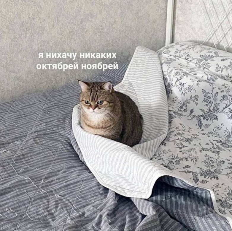 картинки традиционно из открытого доступа