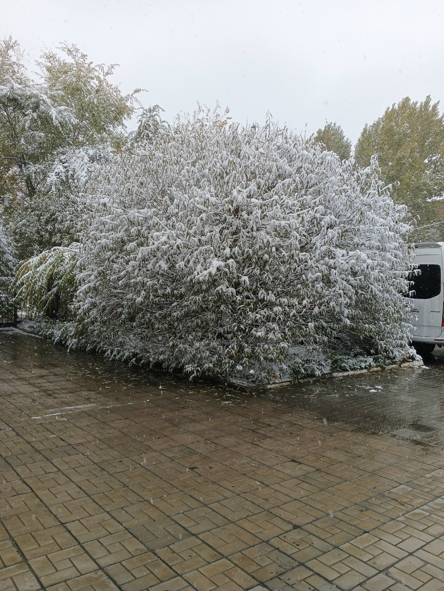 У зала прощания