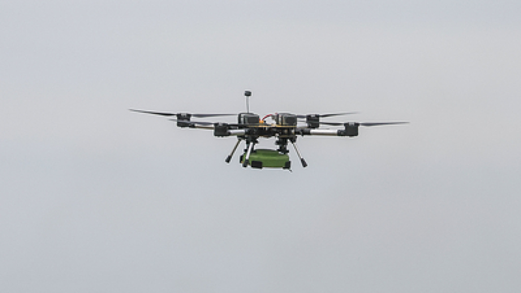    Фото: Shatokhina Natalia/Globallookpress.