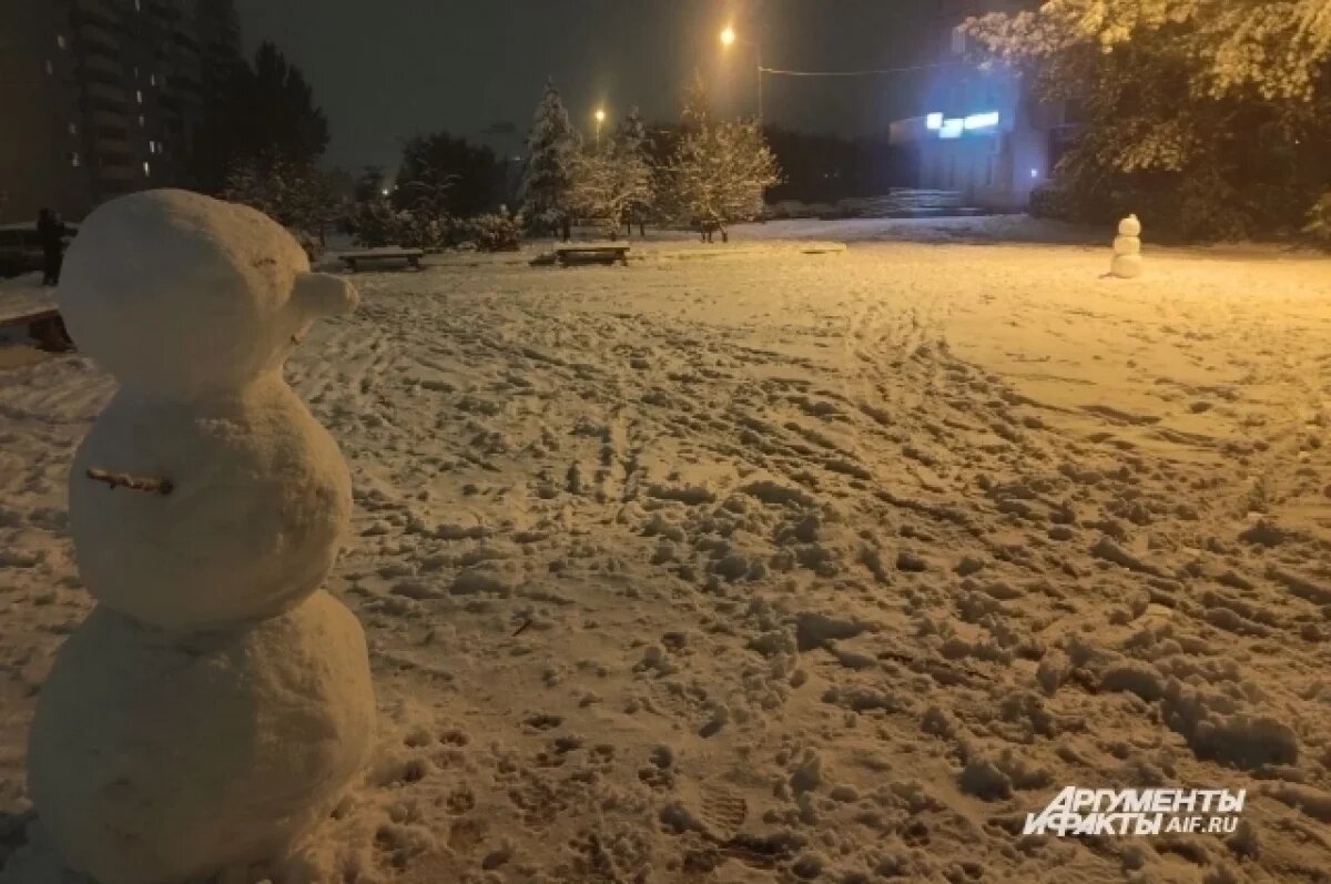    Первый снег в Омске вопреки ожиданиям не растаял
