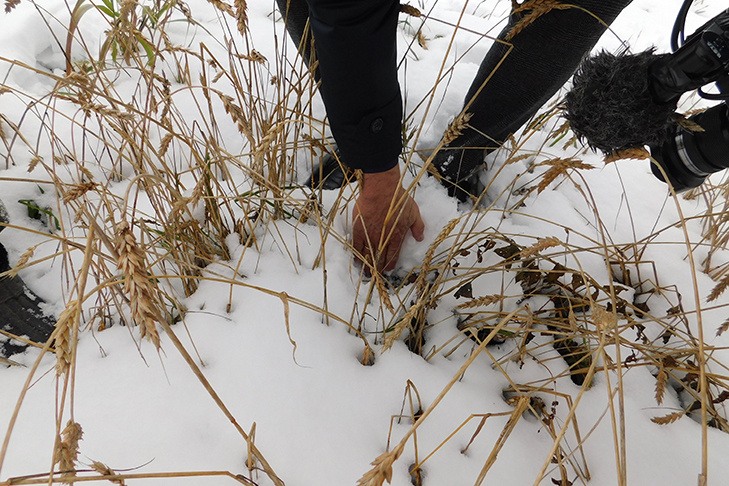    Фото Анны Зубаревой