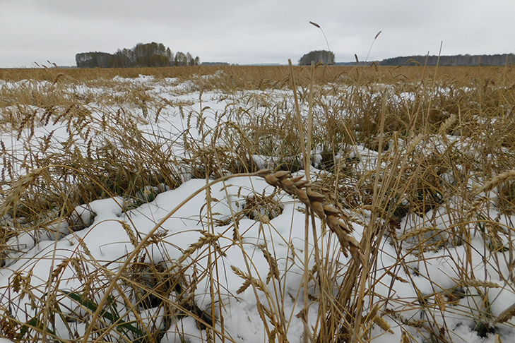 © Фото Анны Зубаревой.📷
