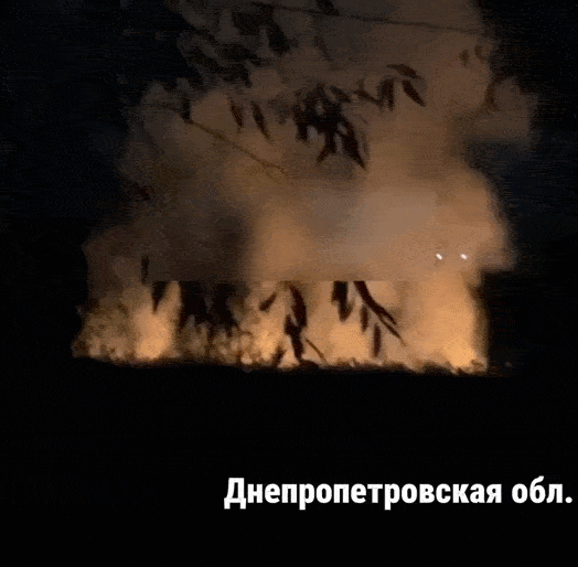    Видео: "Герань Цветущая"