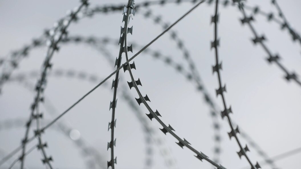    Фото: Belkin Alexey/news.ru/Globallookpress