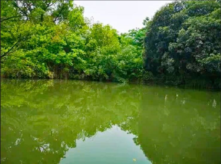 Почти как раньше