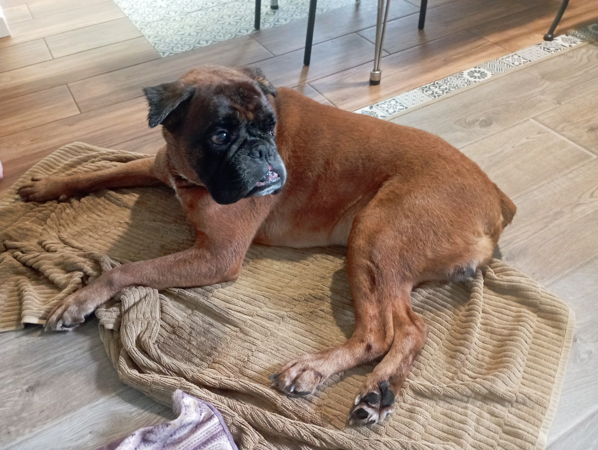 Юся месяц назад. Помылся... 