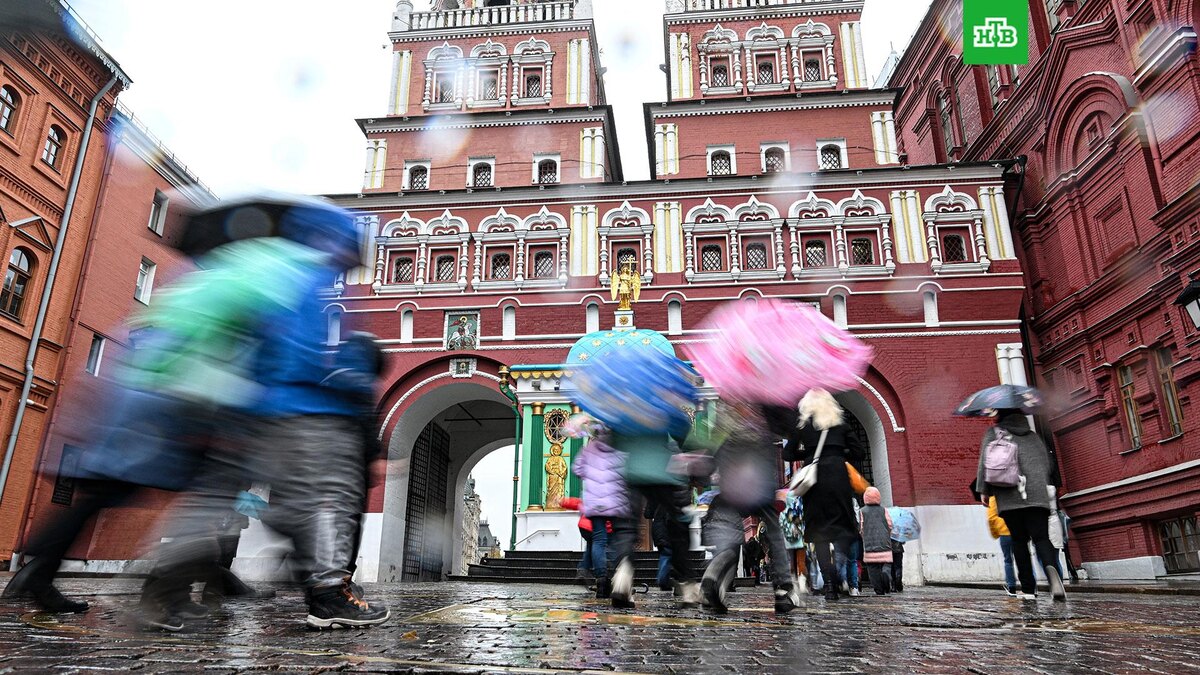    Фото: РИА Новости © 2025, Кристина Кормилицына