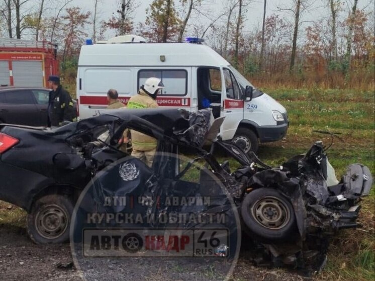     Фото: «Автокадр 46»