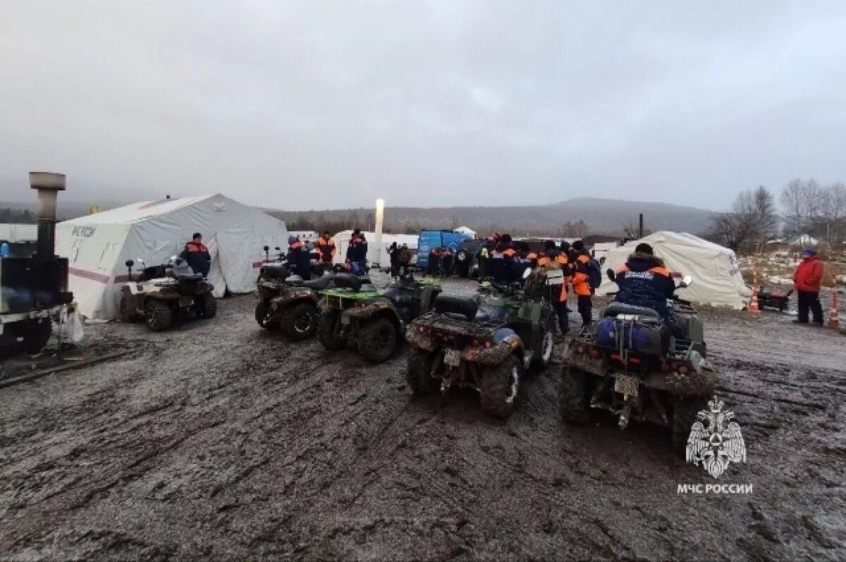    За сутки в поисках пропавшей семьи Усольцевых обследовано 36 кв. км леса