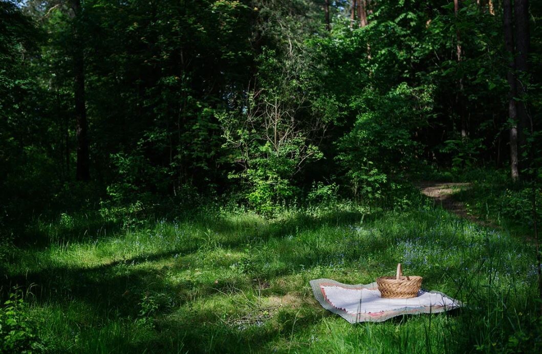 Изображение взято из интернета. 