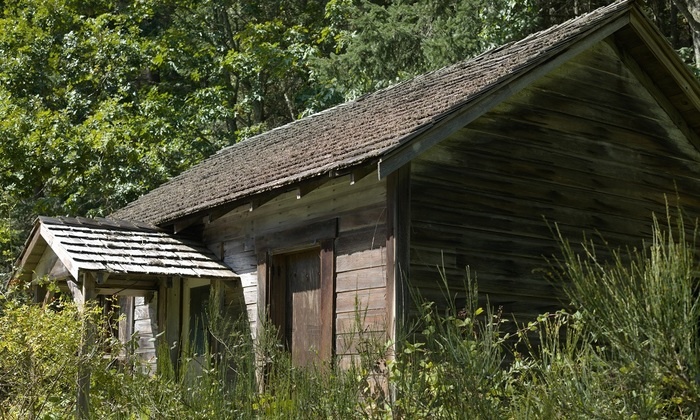    Четыре главные «засады» дачников