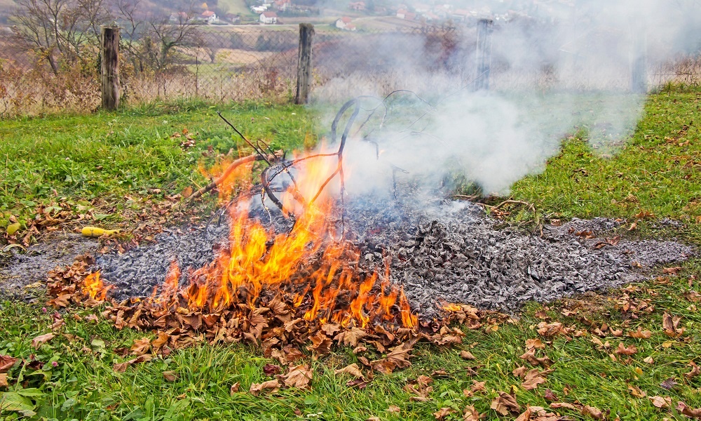    Четыре главные «засады» дачников