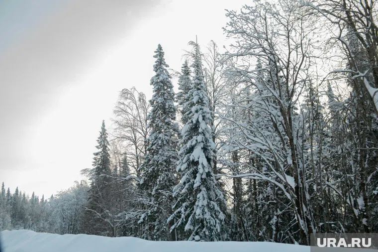  Сергей Усольцев, пропавший вместе с семьей в тайге, был общительным и культурным человеком, рассказали местные жители
Фото: Сергей Русанов © URA.RU