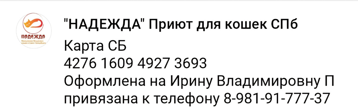 Реквизиты приюта