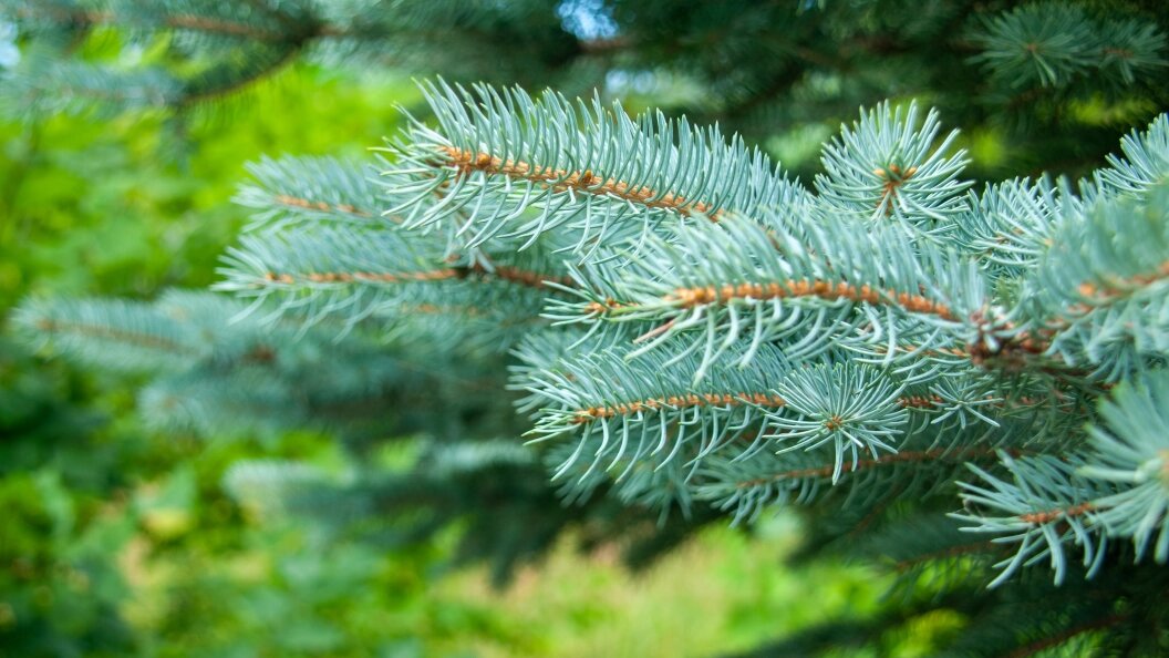    Svetlana Vozmilova/Globallookpress