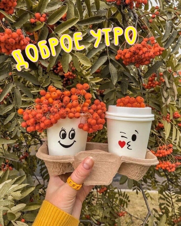 Фото интернета