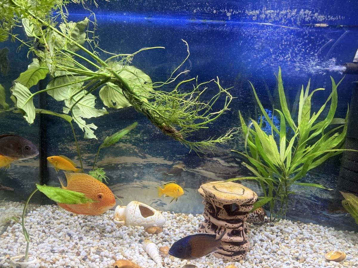 "Заберите ваш веник обратно!" (с.) к/ф "Служебный роман"