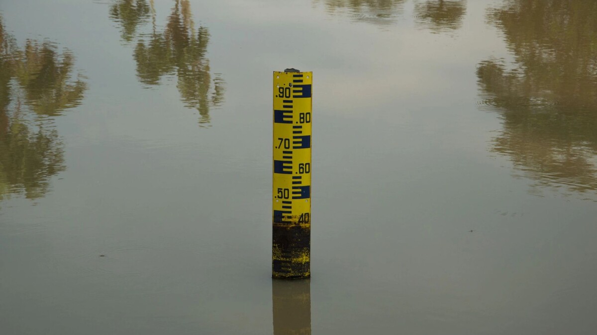    Фото: Nopkamon Tanayakorn/Shutterstock/Fotodom