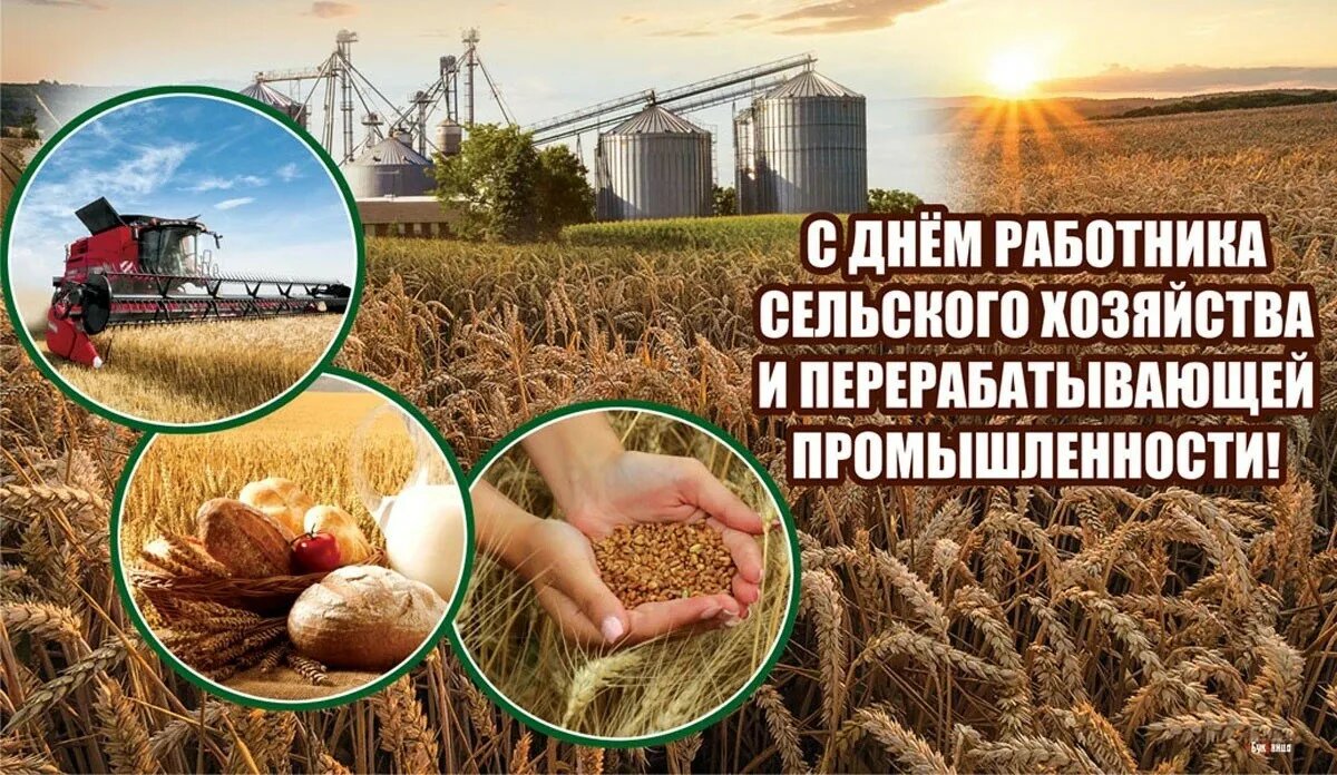 День работника сельского хозяйства и перерабатывающей промышленности