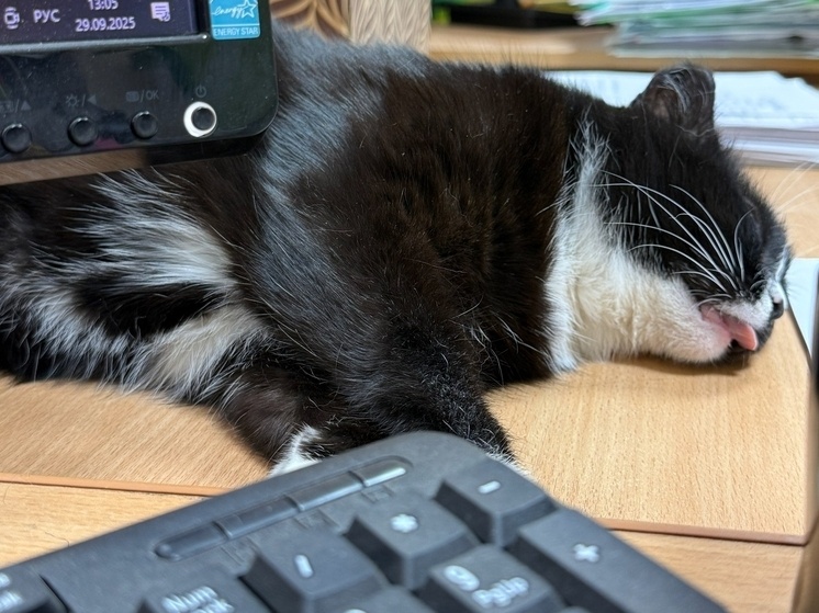     Фото: УКХТ Абакана / официальная страница ВКонтакте