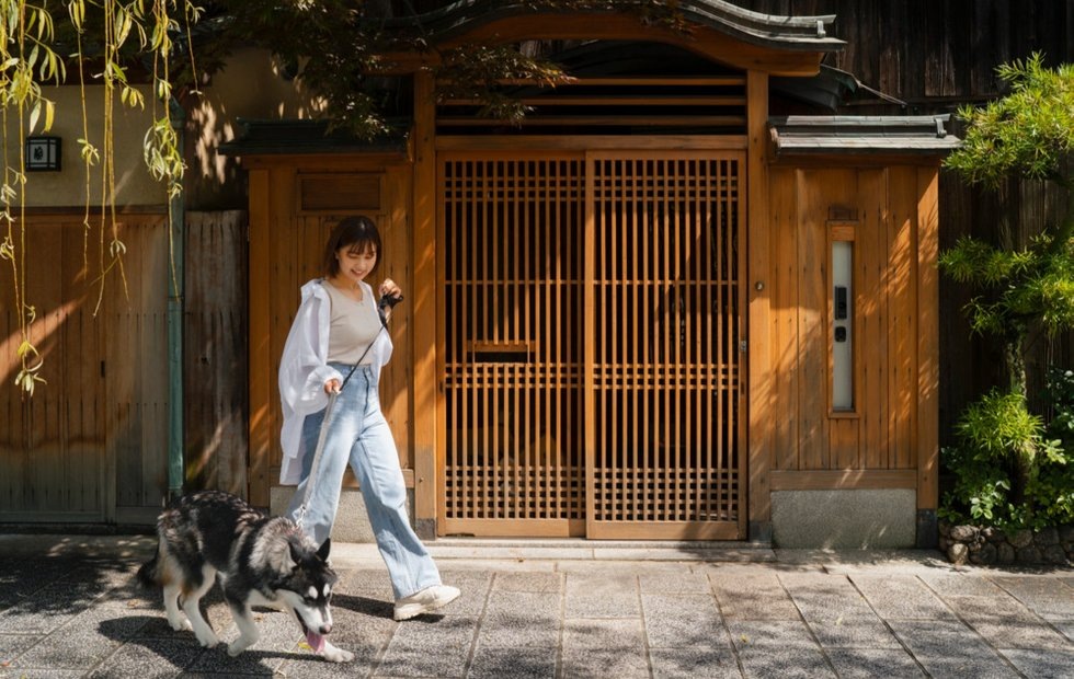 Фото с сайта: freepik.com 