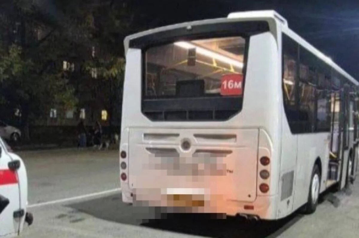    Водитель автобуса пострадал от агрессии подростков в городе Артёме