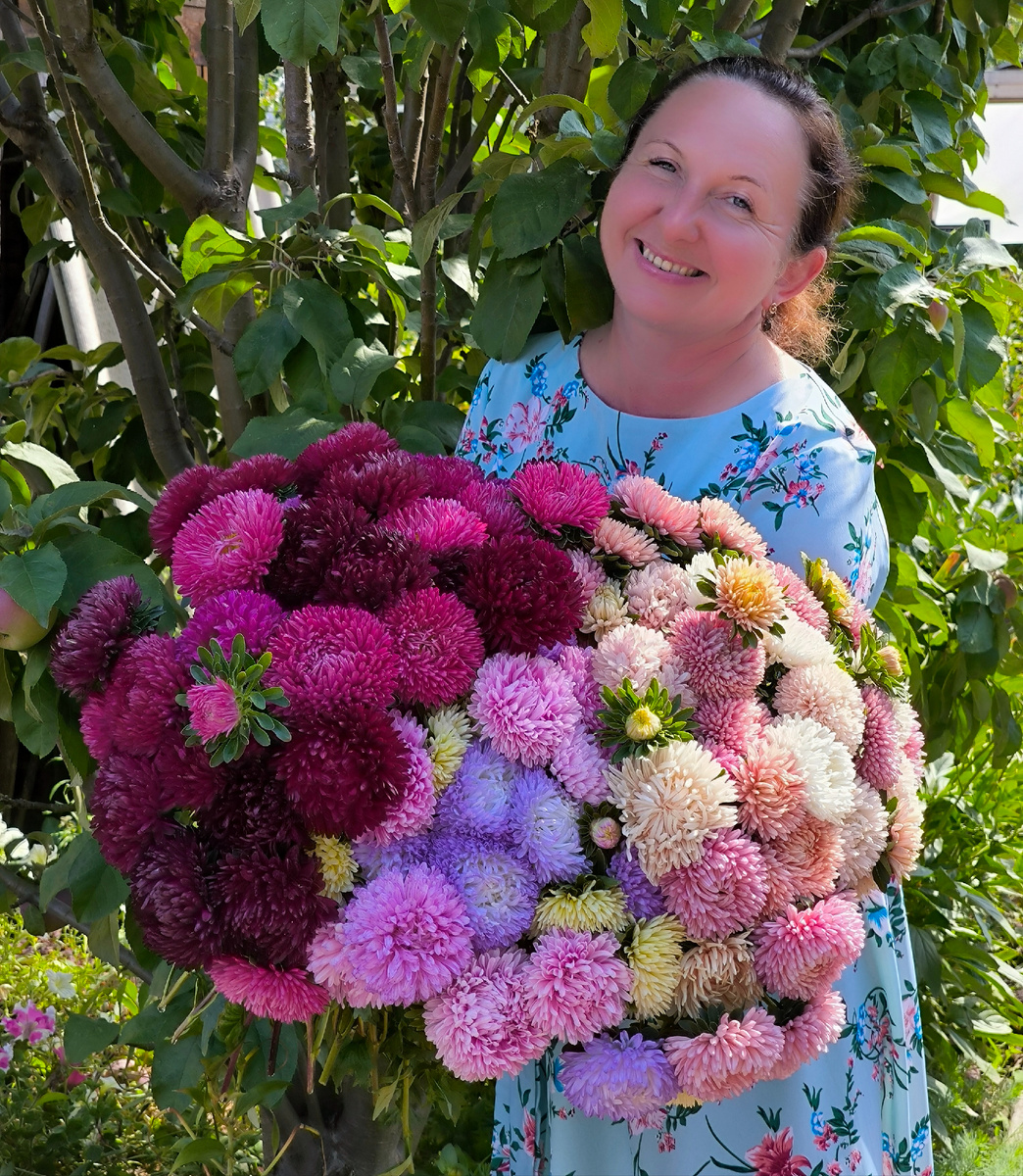 Астры Стрижаковой