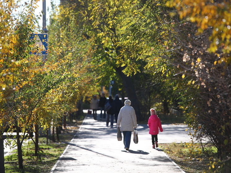     © Фото: ИД «Волгоградская правда» / Кирилл Брага, архив.