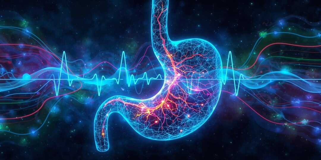 Желудок «разговаривает» с мозгом: ученые обнаружили маркер тревоги и депрессии