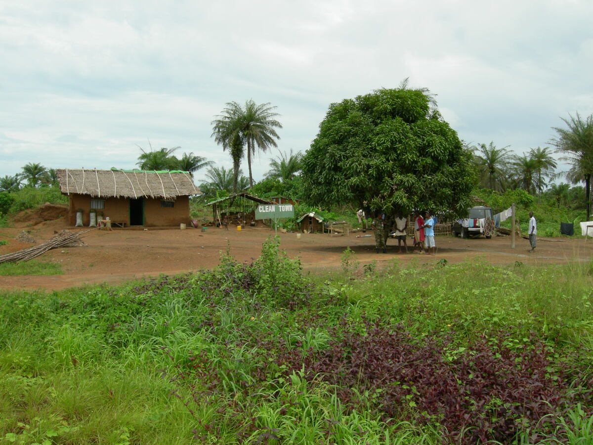 Clean Town. Фото из архива автора