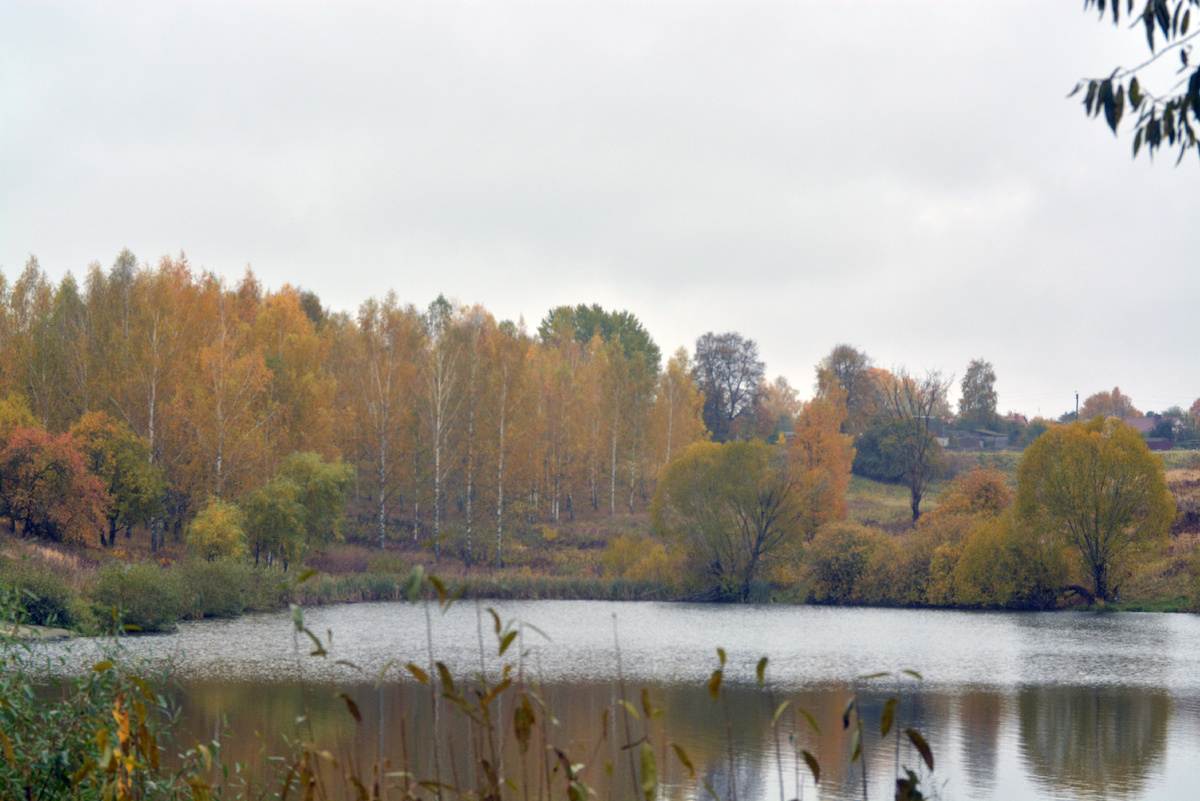 Вокруг музея Ф. И. Тютчева в Овстуге.
