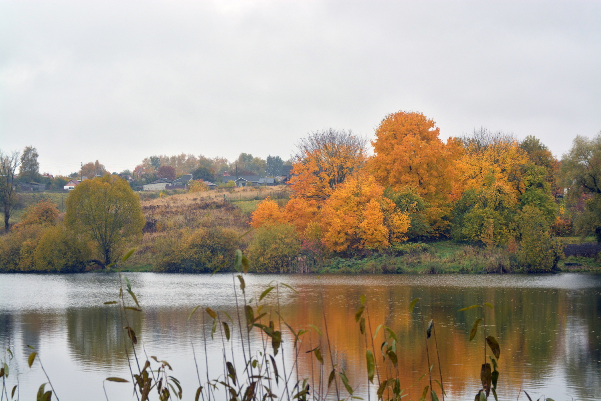 Вокруг музея Ф. И. Тютчева в Овстуге.