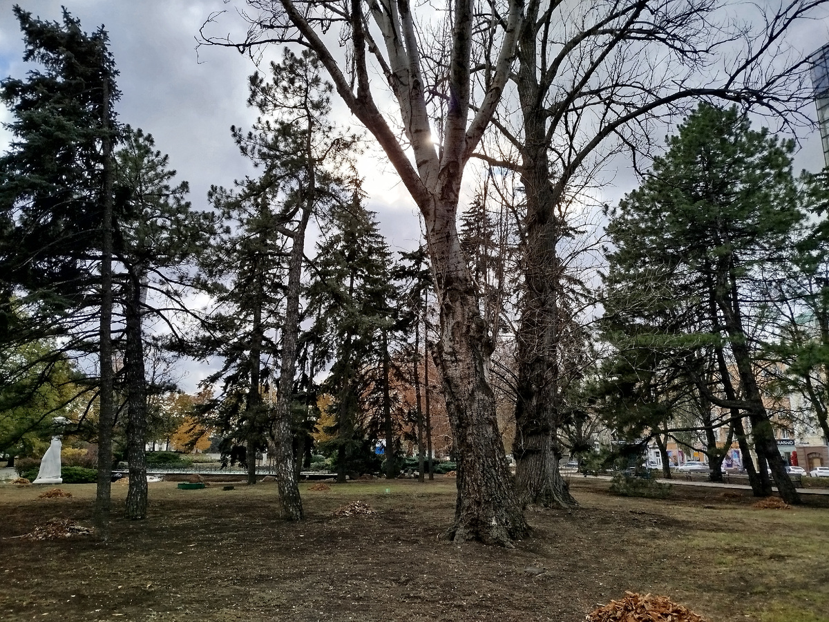 Сквер "Россия" в окрестнстях площади имени Ленина.