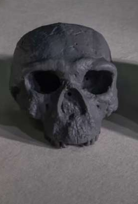 Полноценная реконструкция до послежизненной деформации. (Фото: sun9-33.userapi.com).