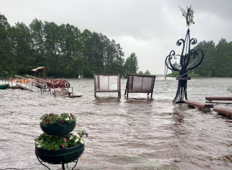 Парк «Дубки» в Сестрорецке во время июльского наводнения 2025 года. Фото: соцсети