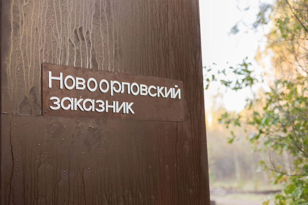 Фото: пресс-служба Смольного