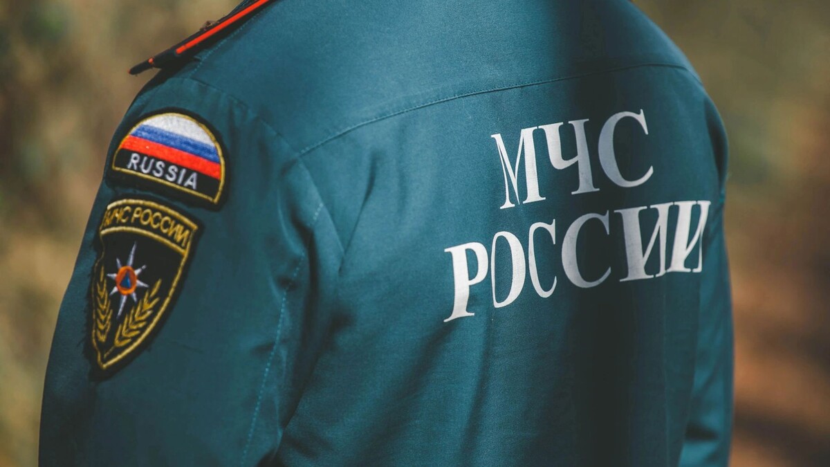    Фото: Dizzy_Studio/Shutterstock/Fotodom