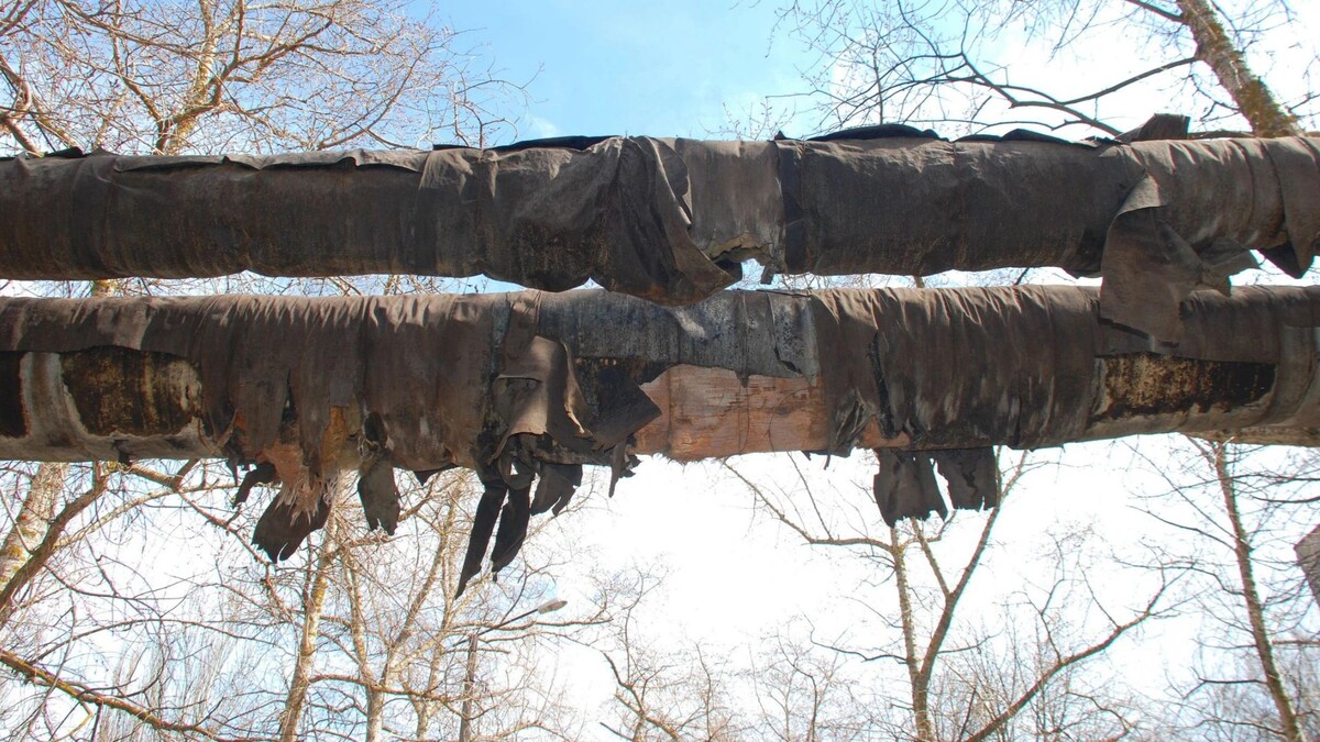    Фото: yurik-master/Shutterstock/Fotodom