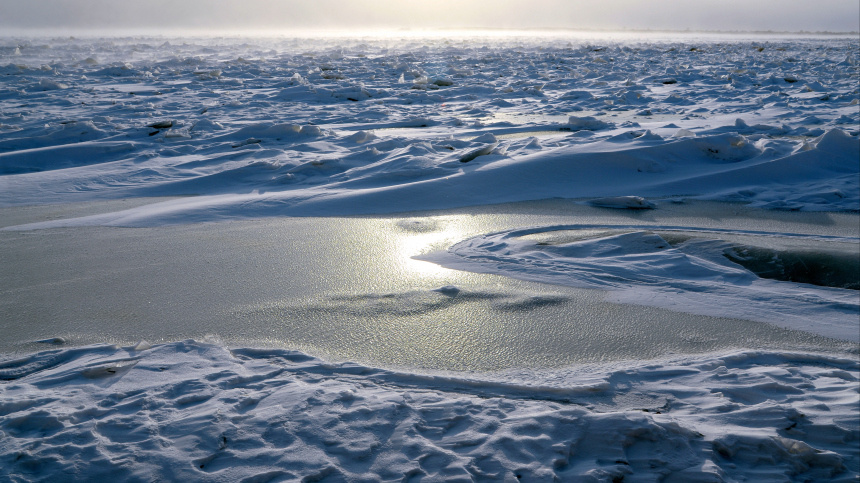    Фото: © РИА Новости/Игорь Онучин