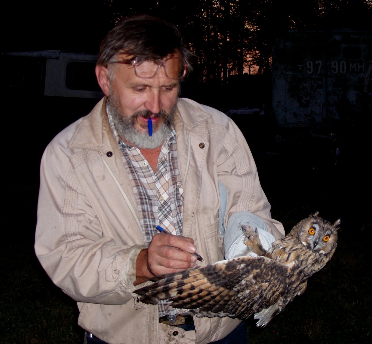 Перед выпуском. Ушастая сова