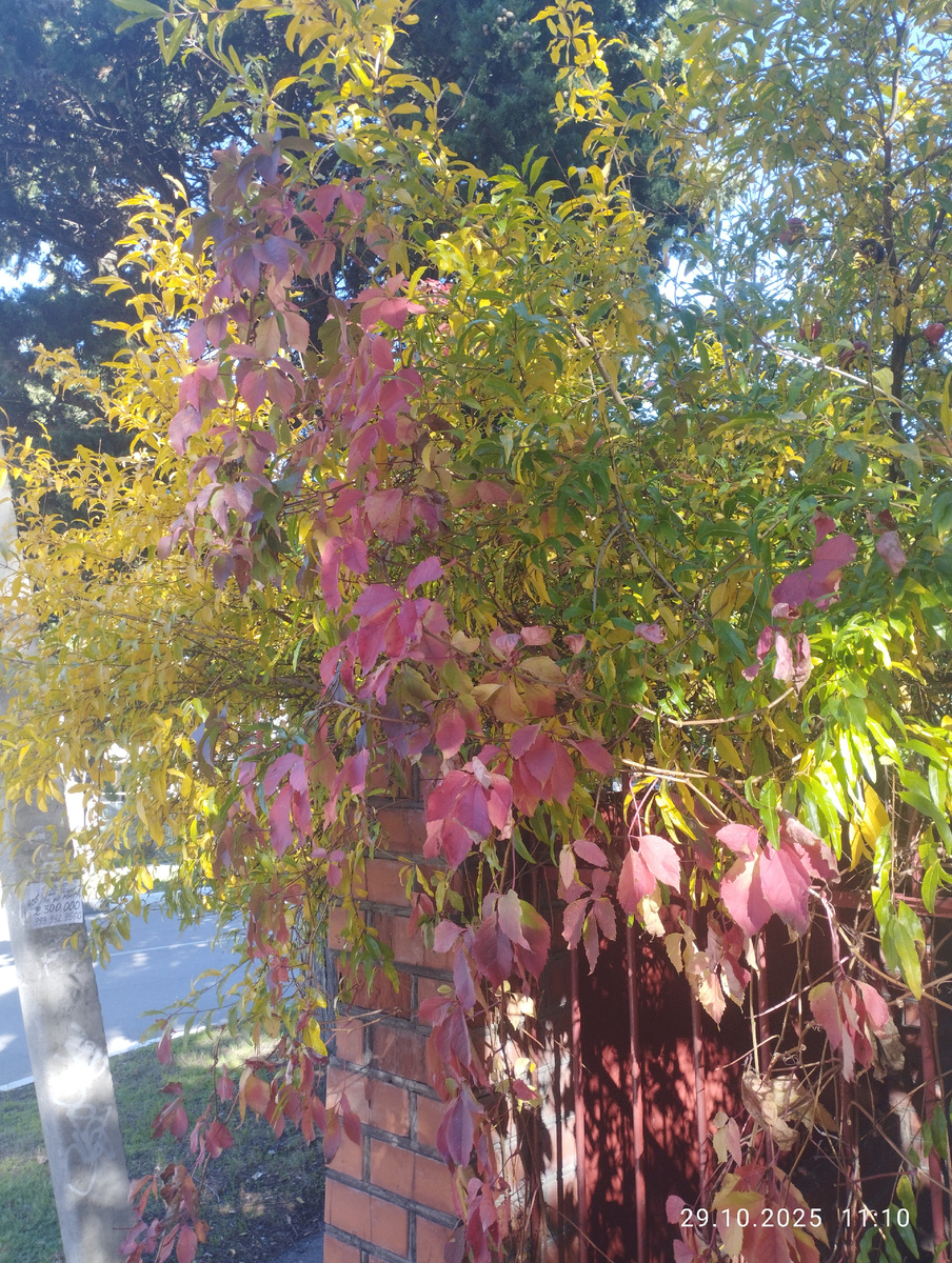 Фото автора. 