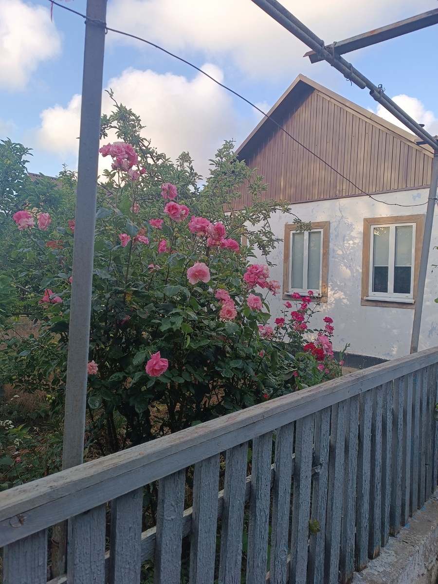 Наш дом в станице Вышестеблиевская