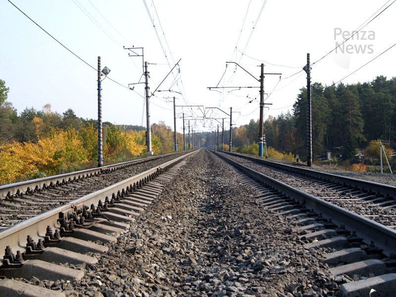   © Фото из архива ИА «PenzaNews»