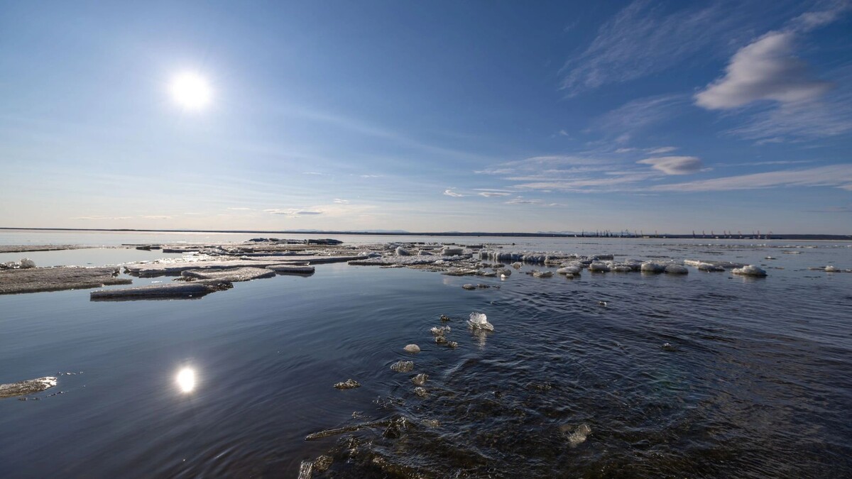   Фото: Юлия Чудинова / «Ямал-Медиа»