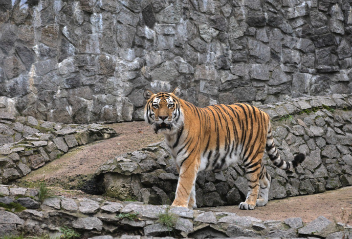 фото: t.me/lenzoopark