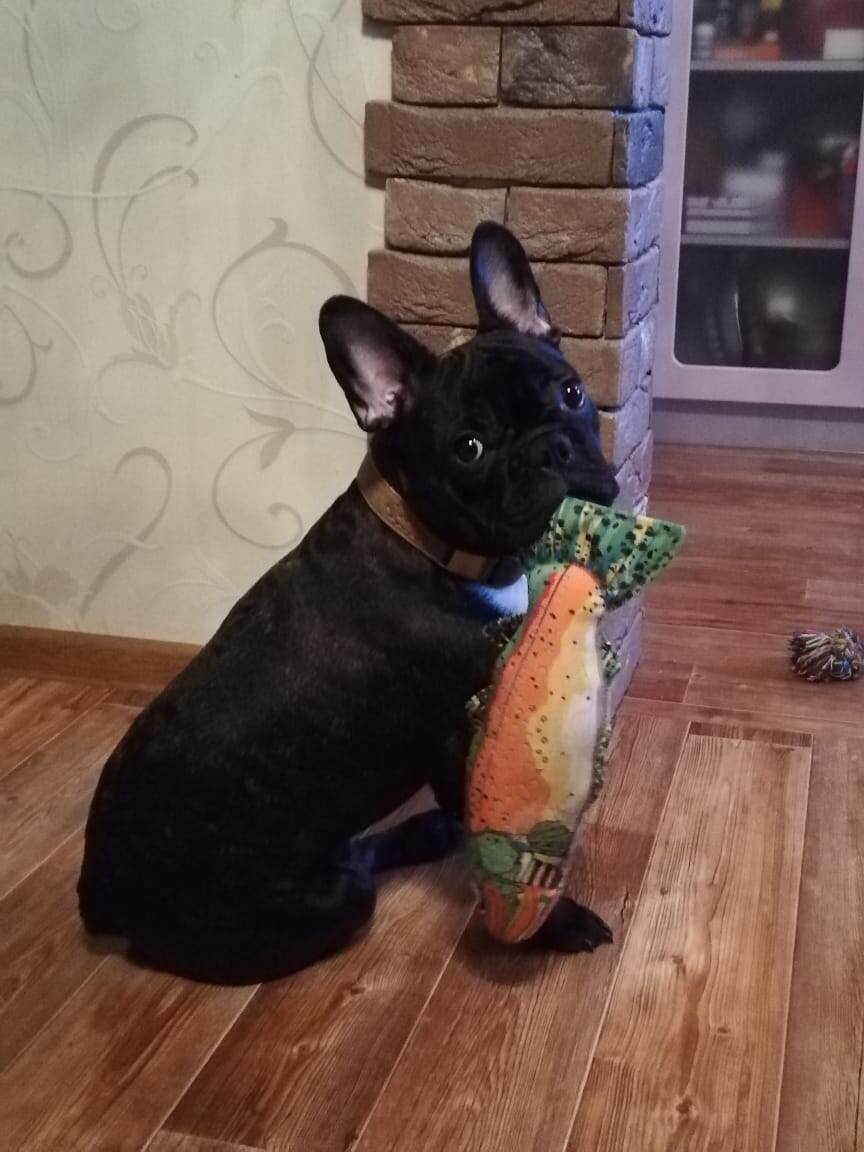 Фото автора