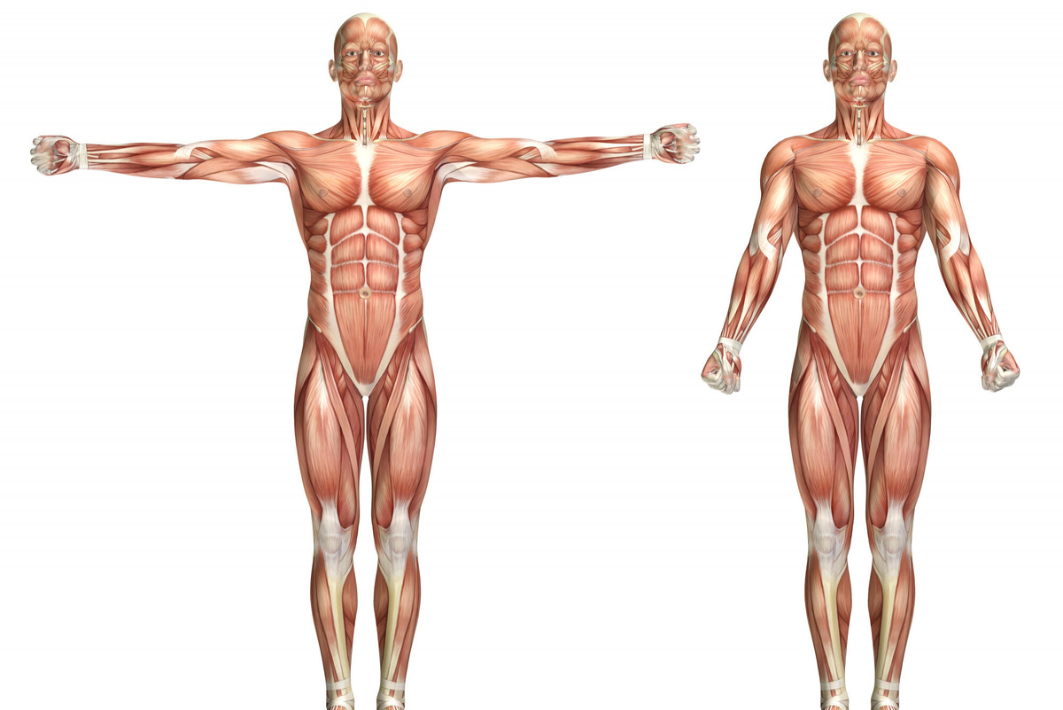     В это еще кто-то верит: 5 самых живучих мифов о вашем теле