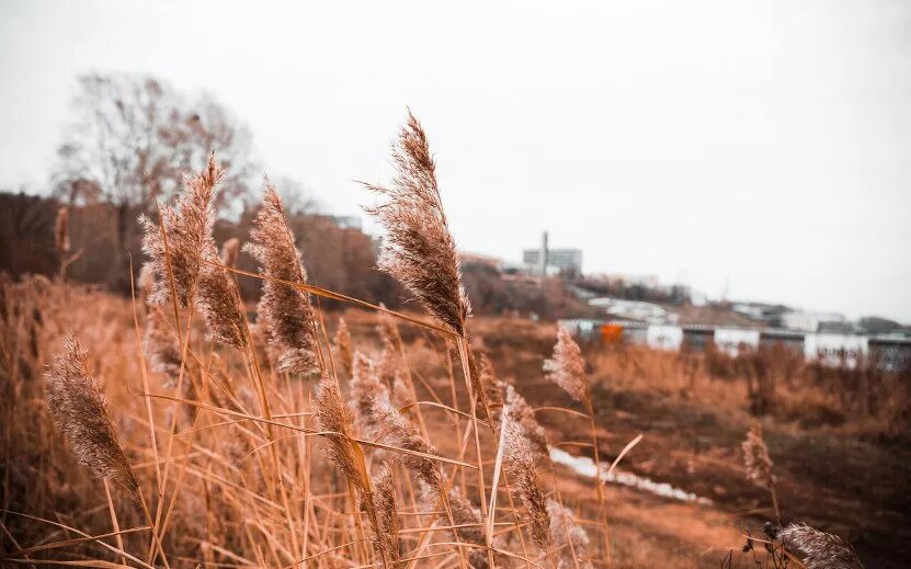    Сильный ветер до 17 м/с ожидается в Удмуртии 12 октября
