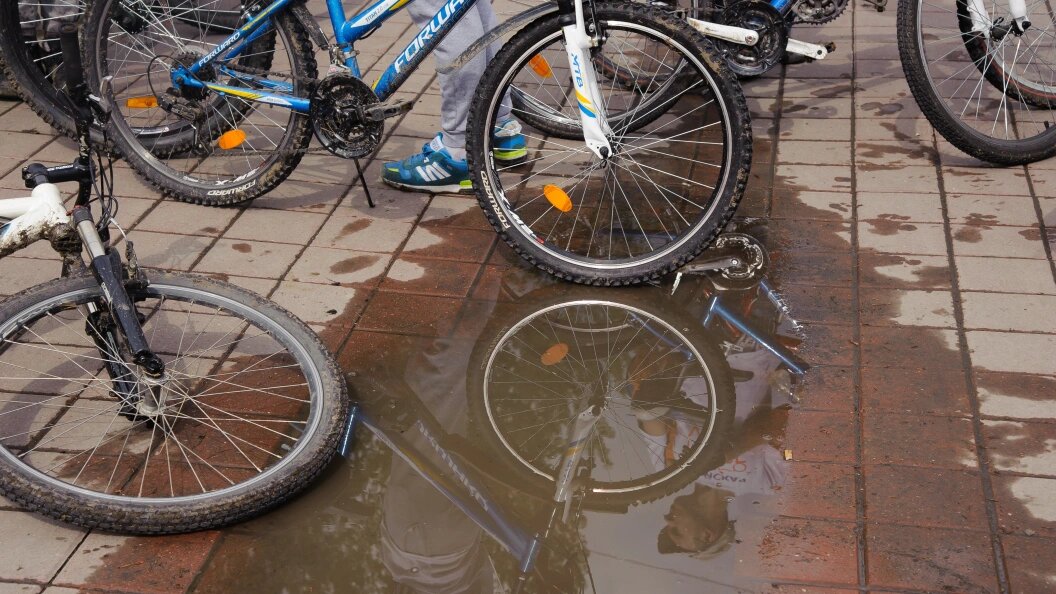    Фото: Dmitry Chasovitin/Globallookpress